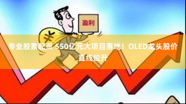 专业股票配资 550亿元大项目落地！OLED龙头股价直线拉升