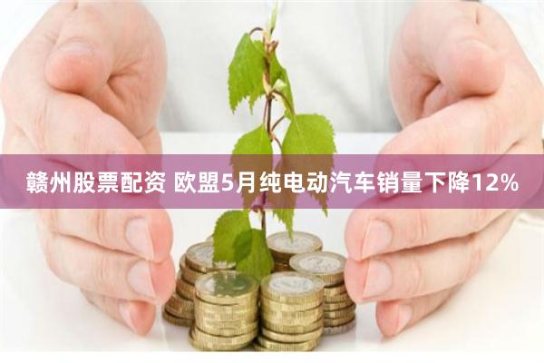 赣州股票配资 欧盟5月纯电动汽车销量下降12%